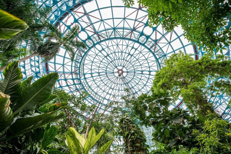 Botanical Garden of National Museum of Nature Science, Taichung, Taiwan, Taiwan